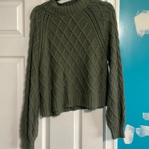Cropped American eagle sweater